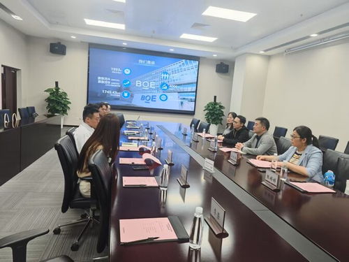 電 亮 京 招 電子與電氣工程學(xué)院赴京東方科技集團訪企拓崗