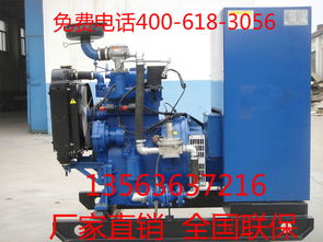 40kW濰柴柴油發電機出售 性能可靠，價格透明，配件廠家直供